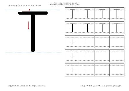 T ̏tK摜