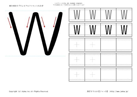 W ̏tK摜