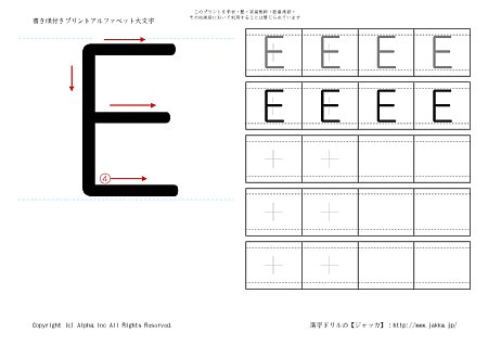 E ̏tK摜