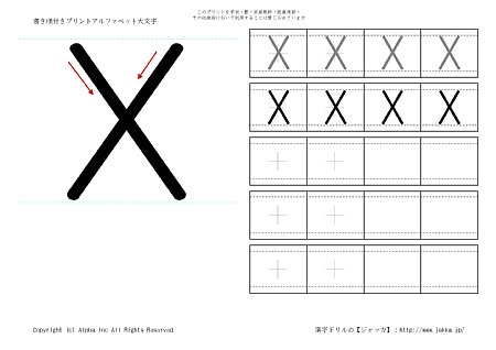 X ̏tK摜