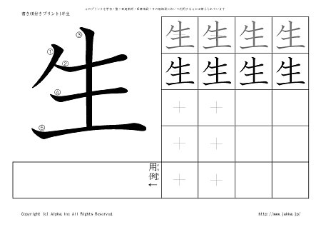 �� �̏������t���v�����g�摜