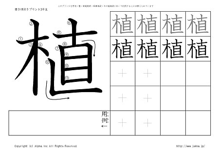 �A �̏������t���v�����g�摜