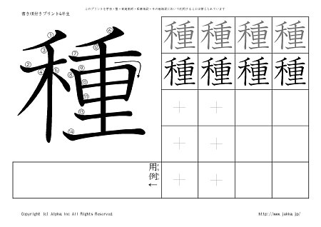 �� �̏������t���v�����g�摜